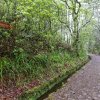 Madeira
